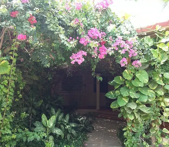 Outback Guesthouse & Restaurant Nocleg ze śniadaniem